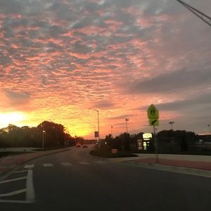 Meet your Posher, Lexi